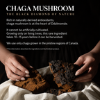 DDALMOMDE Chaga Cica Exo Barrier Cream 50ml | Chaga