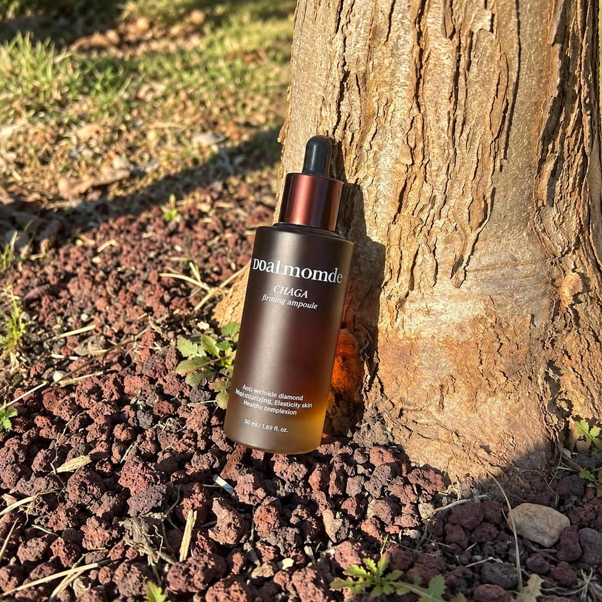 Ddalmomde Chaga Firming Ampoule 50ml | 70% dzikiej kanadyjskiej chagi