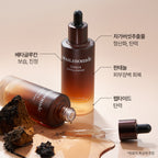 Ddalmomde Chaga Firming Ampoule 50ml | 70% dzikiej kanadyjskiej chagi