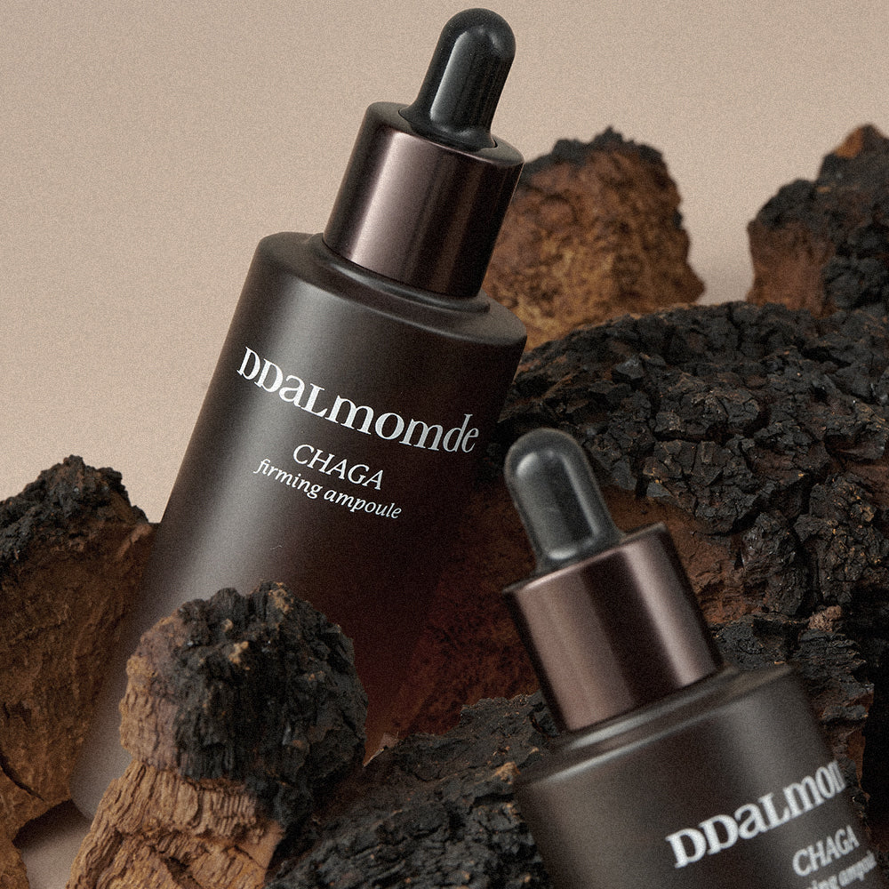 Ddalmomde Chaga Firming Ampoule 50ml | 70% dzikiej kanadyjskiej chagi