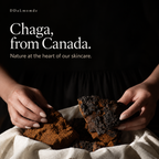 DDaLmomde Chaga Pepta Exo Barrier Toner 100ml | Chaga Mushroom