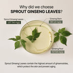 Plenty Plant Melting Leaf Ginseng Toner 150ml I ampułkowy toner z 100% młodego żeń-szenia