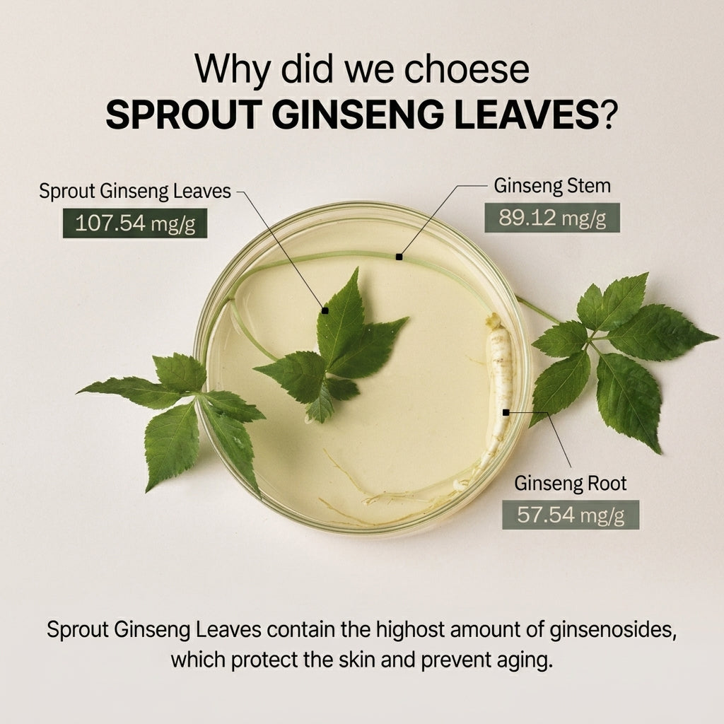 Plenty Plant Melting Leaf Ginseng Toner 150ml I ampułkowy toner z 100% młodego żeń-szenia