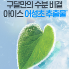 Goodal Hyaluron Soothing Ampoule 50ml I Ice Heartleaf