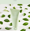Licorne Jeju Match Wash-off Pack 100ml Green Tea 100,000PPM I Oczyszczająca maska z matchą z wyspy Jeju (wash-off)