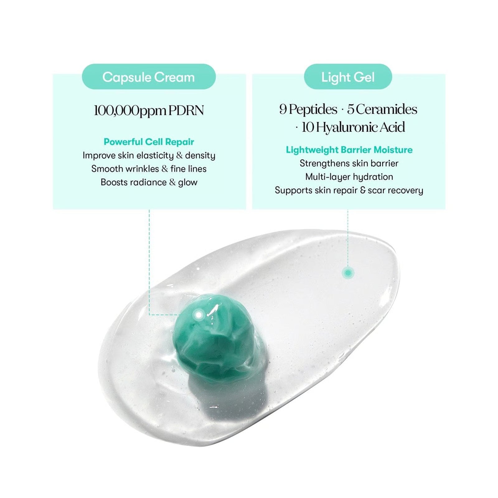 VT COSMETICS PDRN Capsule Cream 100 (50ml) I 100.000ppm Phyto-PDRN