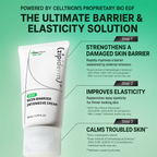 ZIPIDDERM EGF Skin Barrier Intensive Cream 80ml | Głębokie nawilżenie z mocą Bio EGF